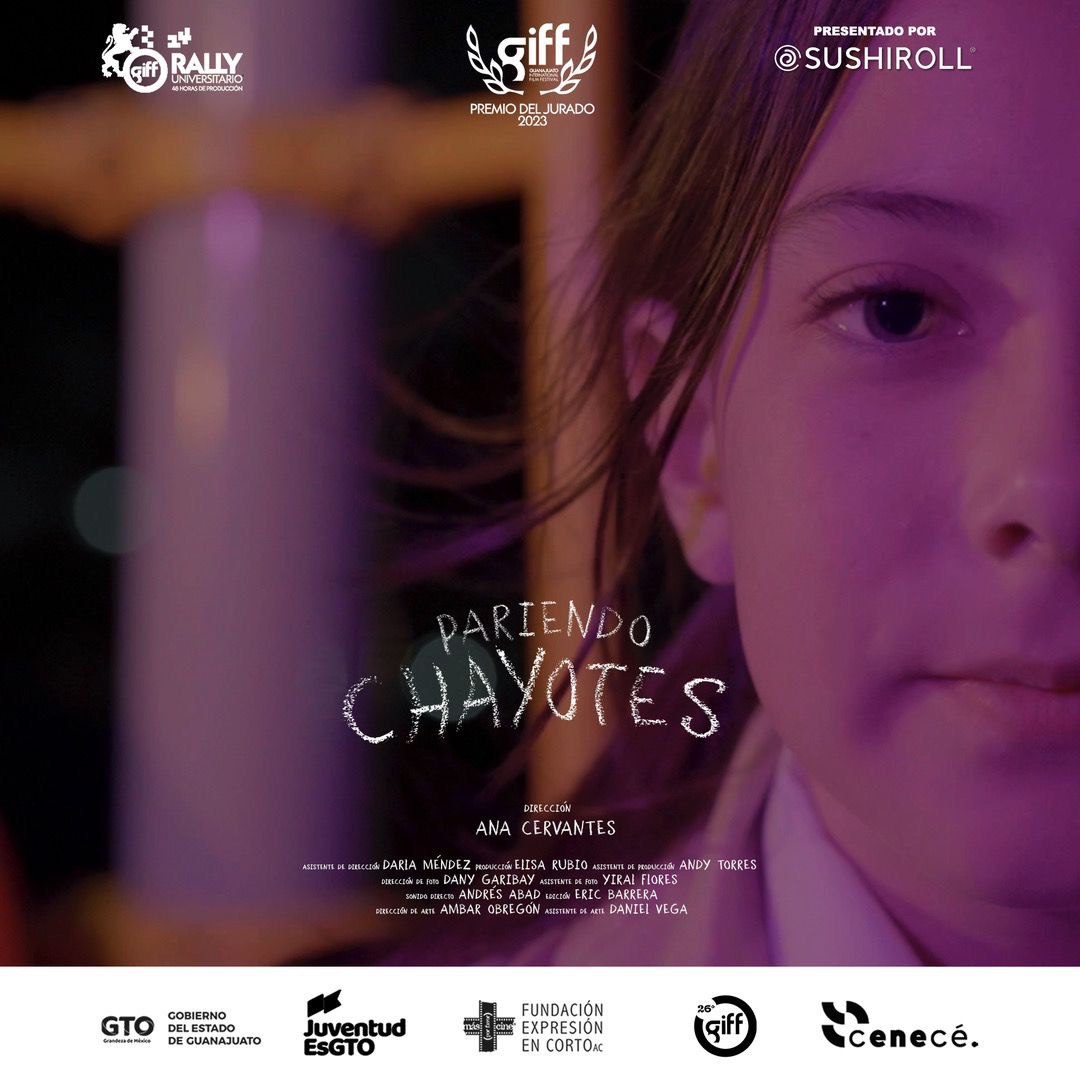 Estudiantes queretanos representan a México en el Festival de Cannes