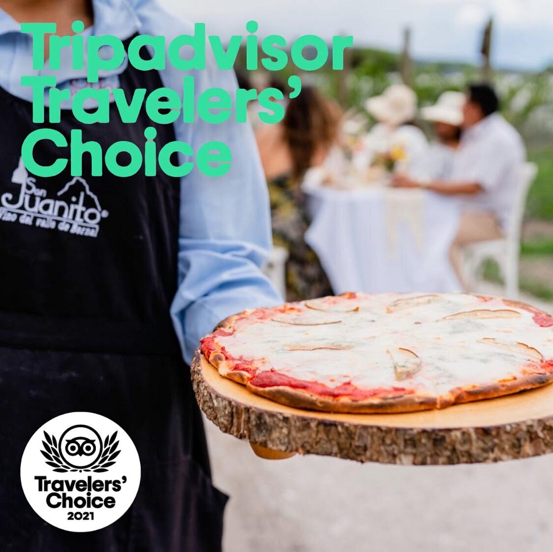 Viñedos San Juanito, ganador de los Travelers’ Choice Awards 2024 de Tripadvisor