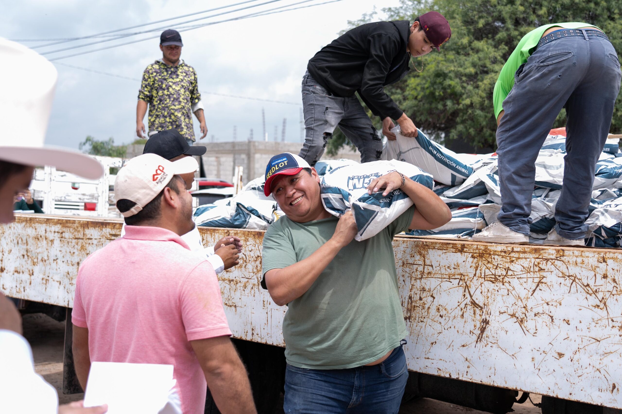 Marqués apoya a ganaderos bovinos para impulsar su productividad