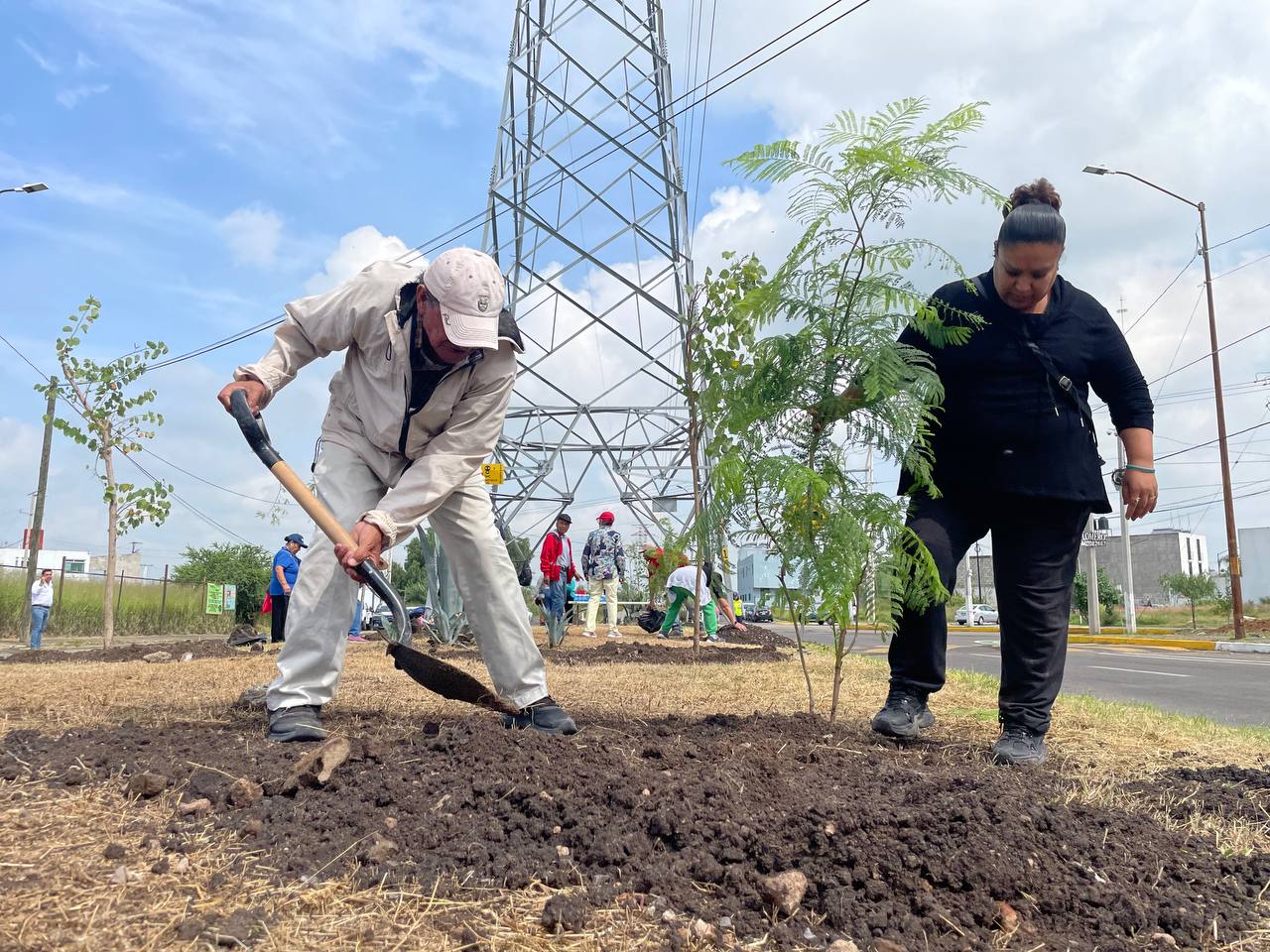 Realizan Segunda Jornada de Reforestación en Corregidora