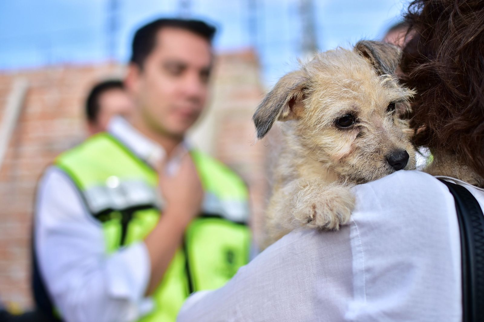 Supervisa Felifer construcción del Centro Integral de Bienestar Animal