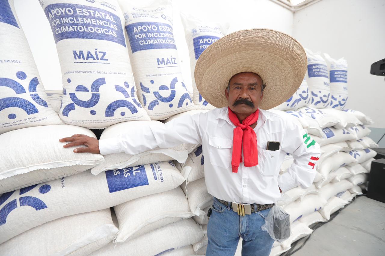 Entrega SEDEA maíz para consumo humano en El Marqués