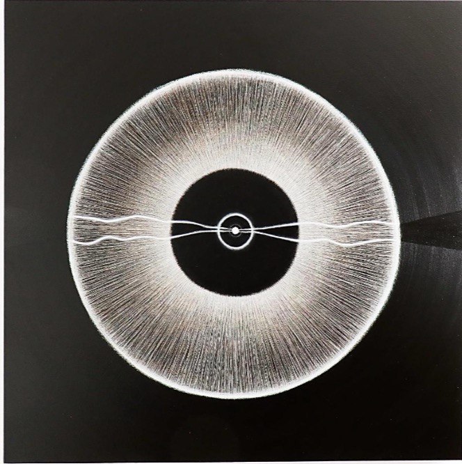 Presenta el Museo de la Ciudad un abanico de técnicas y percepciones artísticas con cuatro exposiciones