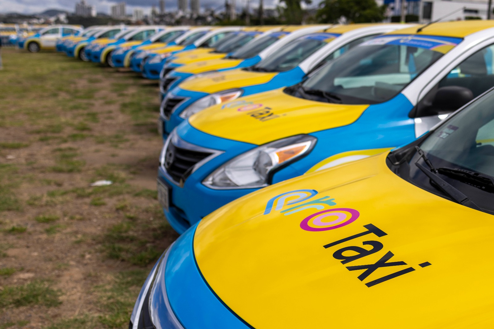 En Querétaro sí: modernizamos y renovamos mil taxis para mejorar la movilidad